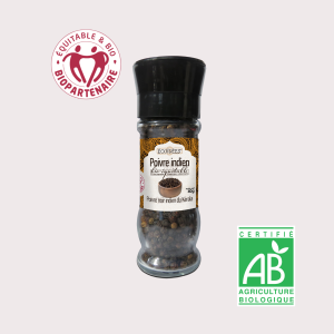 Poivre noir indien BIO & EQUITABLE 40g